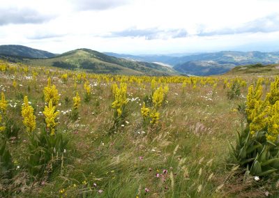 Planine Srbije