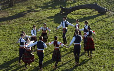 Festivali Srbije