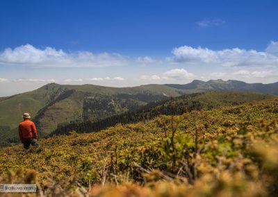 Planine Srbije