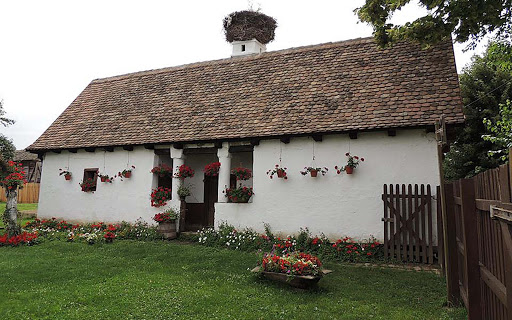 Obedska bara i Kupinovo