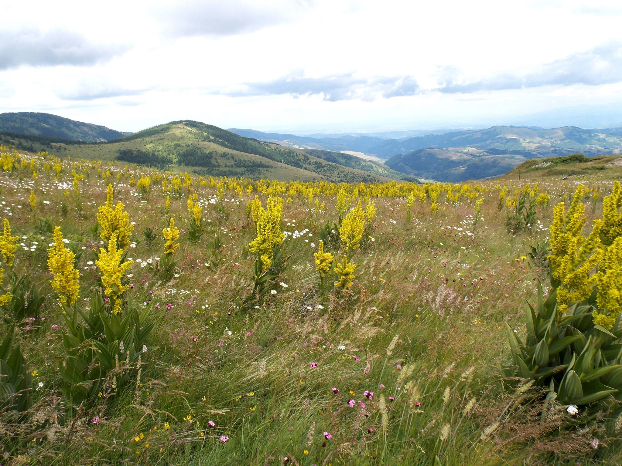 Kopaonik i rafting Ibrom