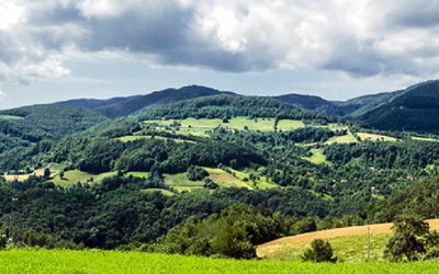 Sumadija tour: Takovo, Oplenac, Vinca